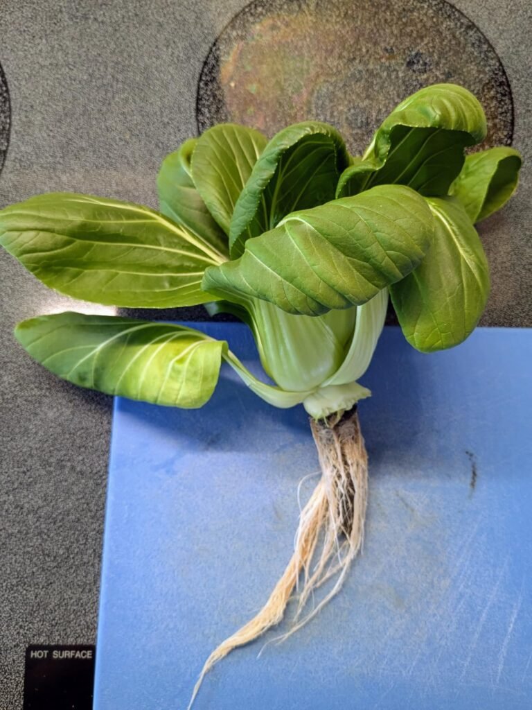 WiFi hydroponic garden system