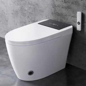 smart toilet bidet