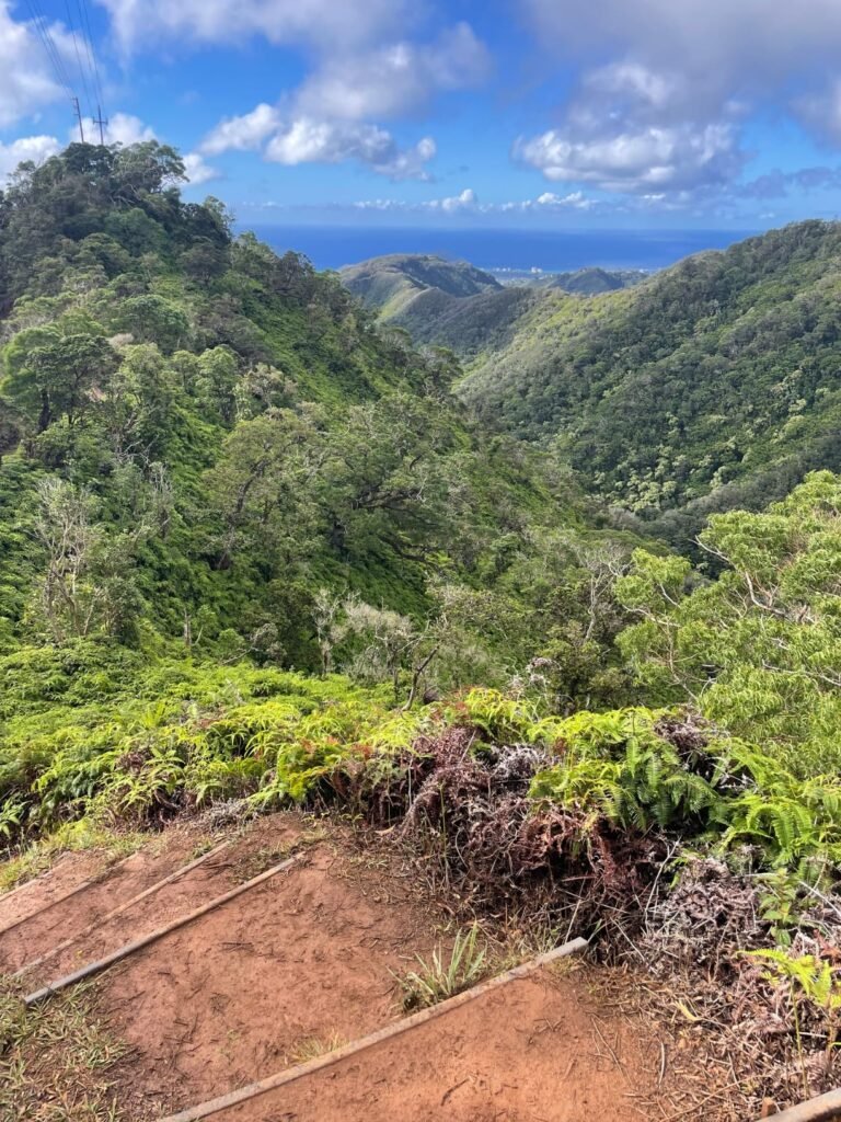 best mini action camera 2026